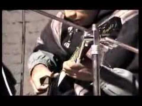 una paloma sobre una rama