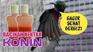 Download lagu Membuat Racikan Nektar Konin - Bikin Gacor, sehat dan banyak gizinya mp3