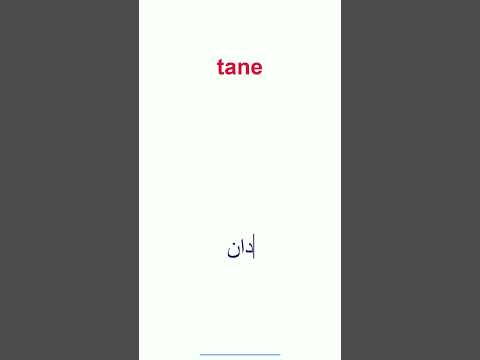 دانه به ترکی استانبولی | Speak Turkish Like a Native!