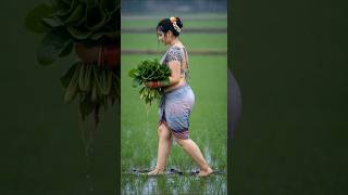 rural charm nature rain sounds for sleeping relaxation #rurallife #naturesounds #relaxingrain