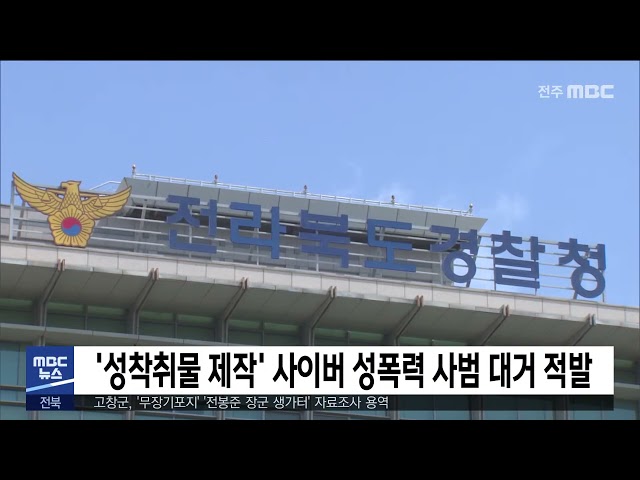 '성착취물 제작' 사이버 성폭력 사범 대거 적발