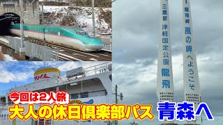 【冬の東北】大人の休日俱楽部パスで竜飛岬と三大そばコンプリートの旅【わんこそば】
