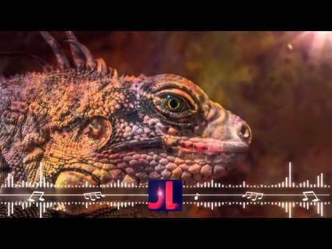 Kroshwell x Dexodus - Dragon [Big Room House]