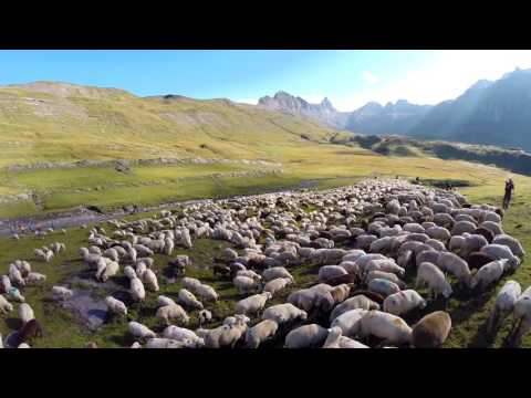 ALPZYT Teaser Erigsmatt | ab 13.10.16 im Kino