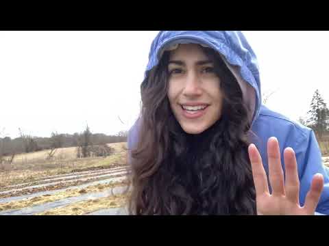 Emergent Abundance Farming Collective for @SavageXFenty next show? Think about it @rihanna 💜🙏🏽🥲