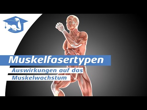 Muscle fiber type and hypertrophy