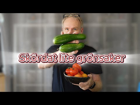 Äpplen på egen skörd – En dag i trädgården hos svärmor