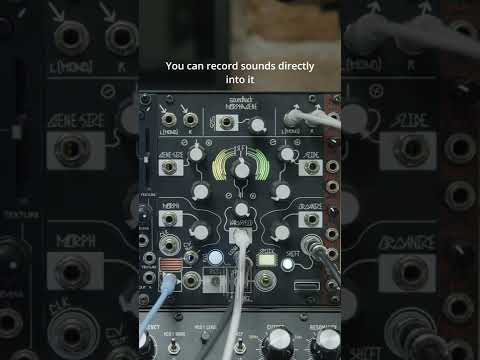 The Modular Minute 027: This Is A Granular Sampler