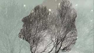 Anchor &amp; Braille - Goes Without Saying [LYRIC VIDEO]