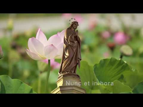 Ave Maria, gratia plena  |  Emmanuel Music