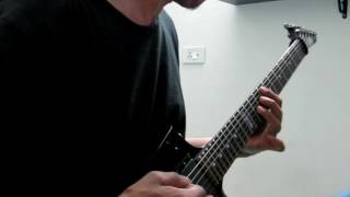 Decapitated -The Fury Guitar cover
