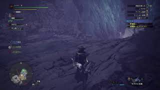 [MHW:IB]紳士達の夜会　十二夜