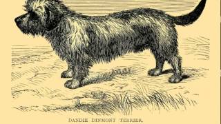 The Dogs of 1890