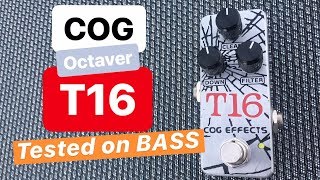 Video thumbnail for COG T16 Analogue Octave, Tested on BASS by Juanka Trujillo