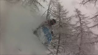 WE ARE THE WILD ONES