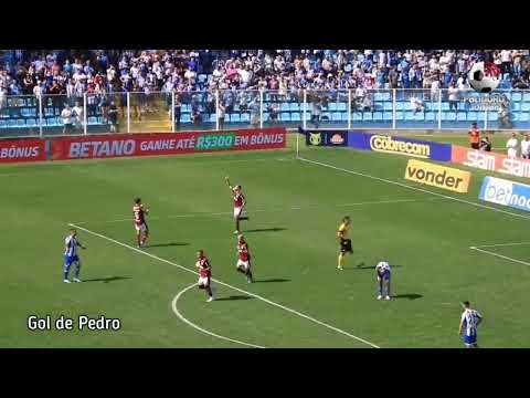 Confira os gols de Avaí 1 x 2 Flamengo | Série A | 24/07/2022