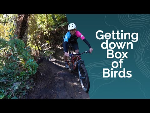 Riding Box of Birds - Whaka 100 Technical Terrain Series