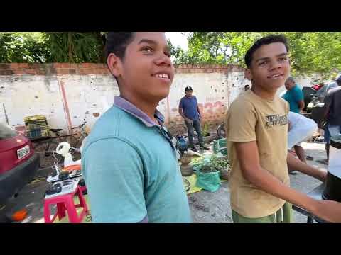 Feira do Rolo em Olho Dgua das Flores - AL 19 - 01 - 2026 #nordeste