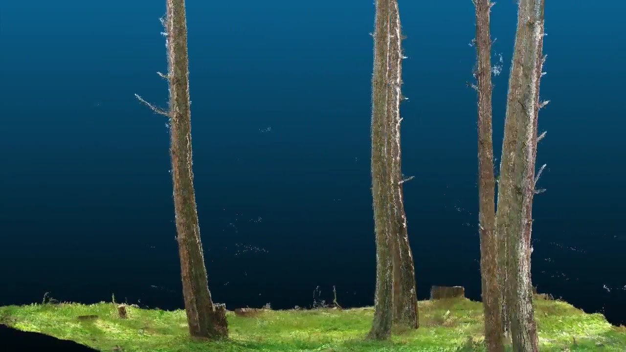 Terrestrial Laser Scanner based 3D point clouds