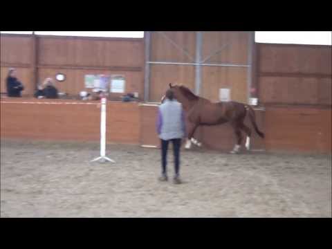 Mount Etna xx Freispringen