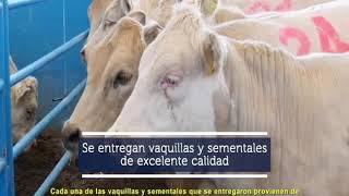 ARRANCA EL PROGRAMA “CRÉDITO GANADERO A LA PALABRA” PARA PRODUCTORES DURANGUENSES.