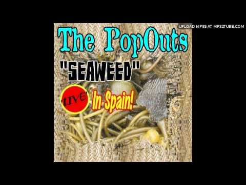 The PopOuts - Seaweed 'live' In Spain!