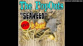 The PopOuts - Seaweed 'live' In Spain!