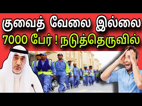குவைத் வேலை இல்லை | 7000 பேர்! நடுத்தெருவில்😲✈️😲 | kuwait tamil news | ziashanawaz |