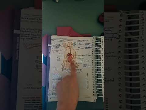 Repeat LIVE Part 1 on 12-1-2021 CPC Exam process of elimination Top ICD10 Guidelines. Anatomy on CPC