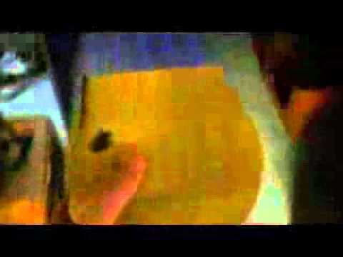 Using a blacklight to distinguish wood species