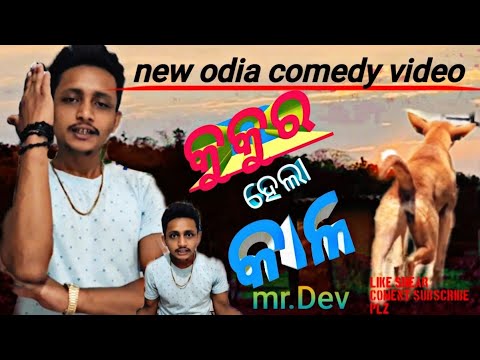 Kukura hela kala//new odia comedy video//odia comedy video//mr.dev