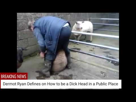 Dermot Ryan Defines Dick Head in a Public Place