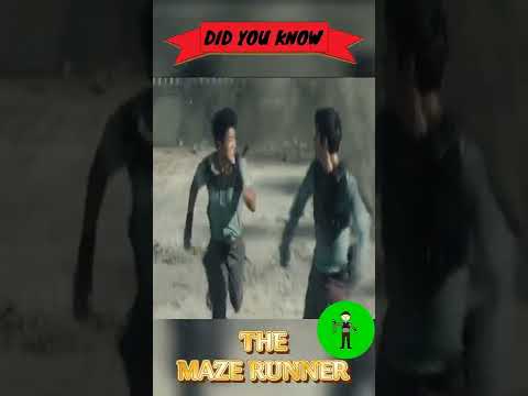 Did You Know in The Maze Runner🏃🏃‍♀️🏃‍♂️