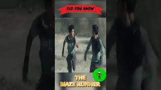 Download lagu Did You Know in The Maze Runner🏃🏃‍♀️🏃‍♂️ mp3