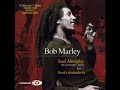 Bob Marley - Splish For My Splash - (Soul Almghty)