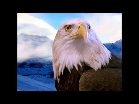 ΝΟΤΗΣ ΣΦΑΚΙΑΝΑΚΗΣ Ο ΑΕΤΟΣ ΠΕΘΑΙΝEI  ΣΤΟΝ ΑΕΡΑ