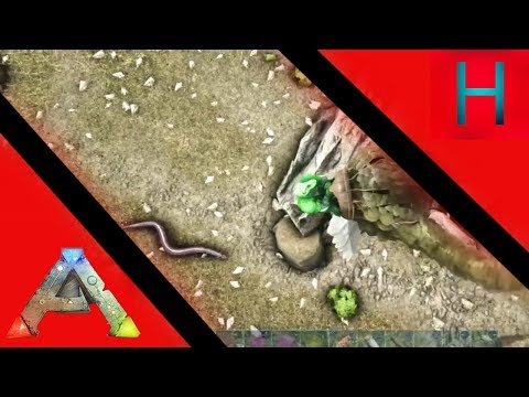 Ark Pve/ Ep 18/ Titanoboa taming!