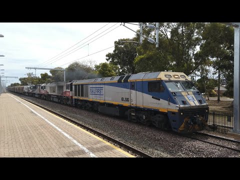 EL56 + CSR007 + SCT004 + CSR008