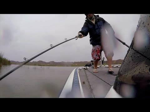 GoPro: Jeff Carpenter - Best Catch 5.29.15 - Fish