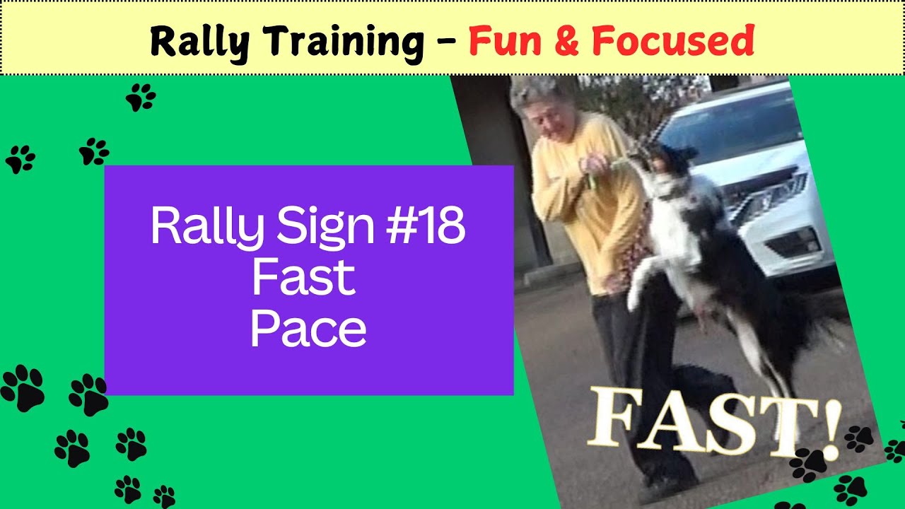 Rally Sign #18 Fast Pace – Rally Training Fun & Focused - DebbyQuigley.com