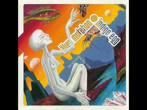 Alien Mutation Vs. Indigo Egg - Journey To The IX Land Kinetix records 1996