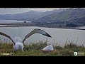Bird Bad Landing EGPWS
