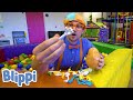Blippi Learns Human Body Parts At A Fun Indoor Playground Educational Videos For Toddlers