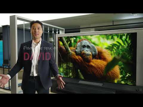 LG OLED55B56LA Black