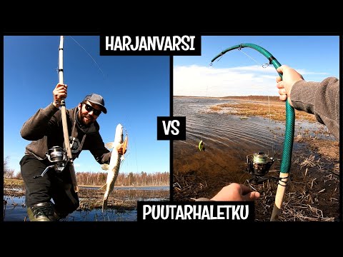 HARJANVARSI JA PUUTARHALETKU HAUENKALASTUKSESSA - TESTATAAN KÄYTÄNNÖSSÄ JA ARVIOIDAAN LOPPUTULOS