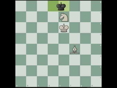 Uma pequena luta - Mate de Cavalo e Bispo!