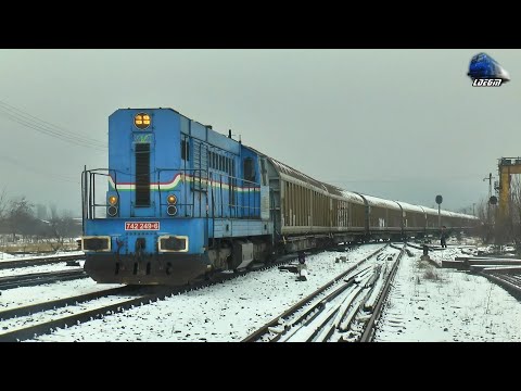 Trenuri în Zăpadă 🚂❄🚂 Trains in Snow in Gara Episcopia Bihor & Oradea Est Station - 02 February 2022
