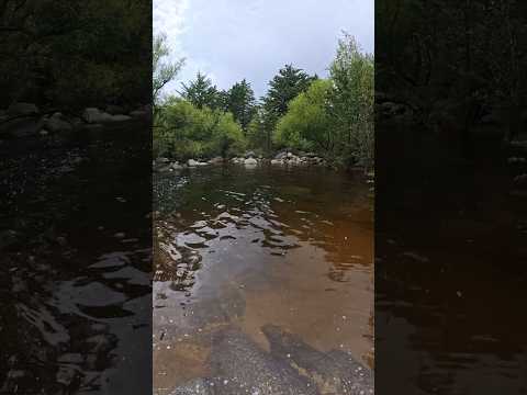 Lago de las Truchas: Magia en La Cumbrecita 🏔️ #cumbrecita #cordoba #turismo #naturaleza #viajes