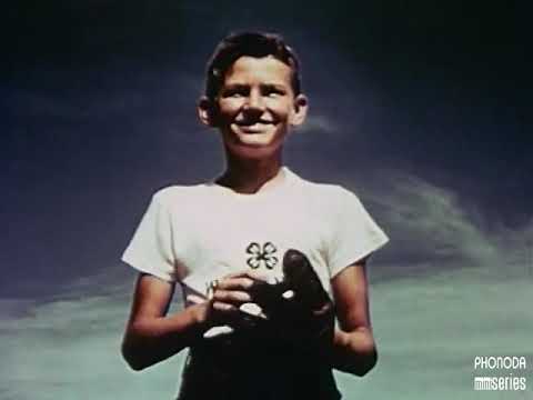 Phonoda - miniSeries 004 - Peter Bernath