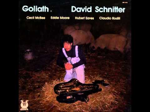 David Schnitter - Goliath
